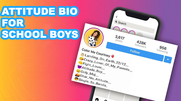 Instagram-bio-for-school-boys