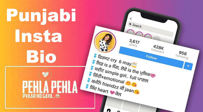Instagram bio for boys in Punjabi 