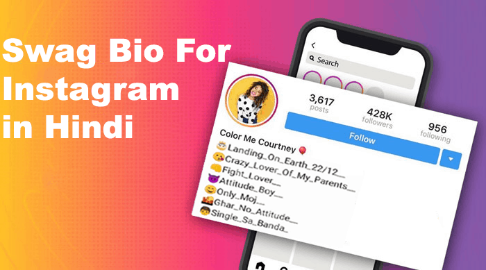 Swag Bio For Instagram in Hindi 